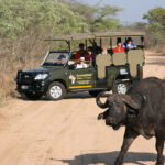 Game-Drive-101