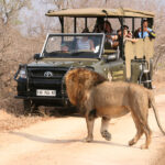 Game-Drive-7