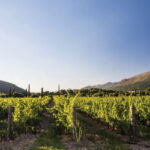 The-Den-Brochure-Digital-3-13