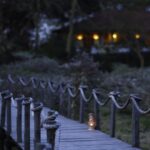 hatari_nightWalk